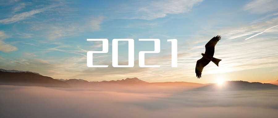 乘“峰”而上，智“盈”未来 ——2021年3003.com官网环境高级资深副总裁新年开工动员